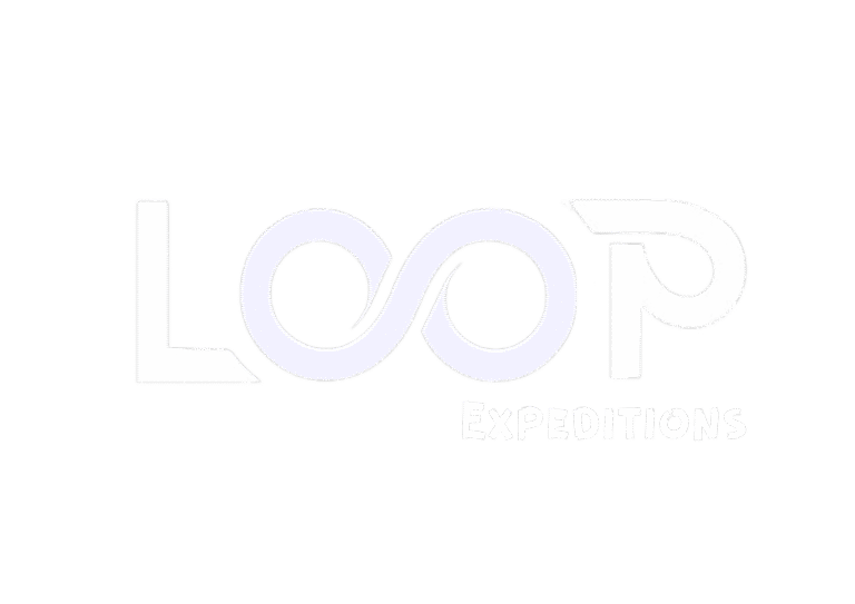 Loop PNG Black 1 768x543